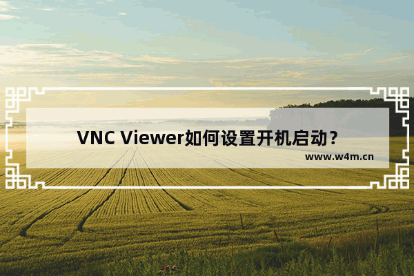 VNC Viewer如何设置开机启动？