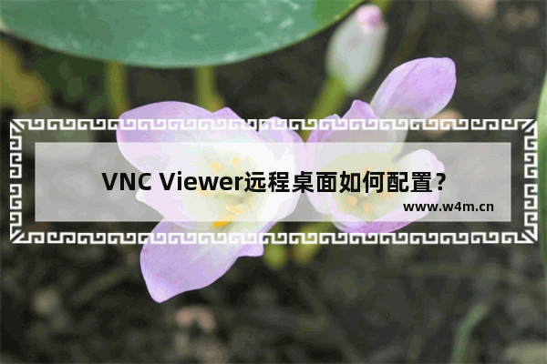 VNC Viewer远程桌面如何配置？