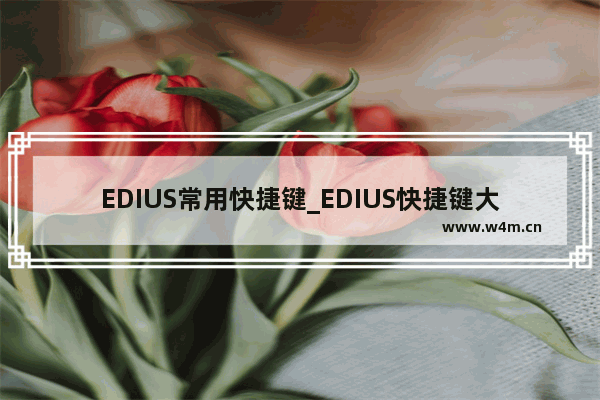 EDIUS常用快捷键_EDIUS快捷键大全