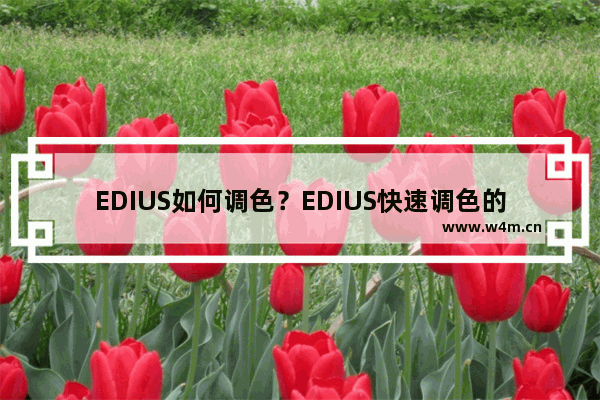 EDIUS如何调色？EDIUS快速调色的方法