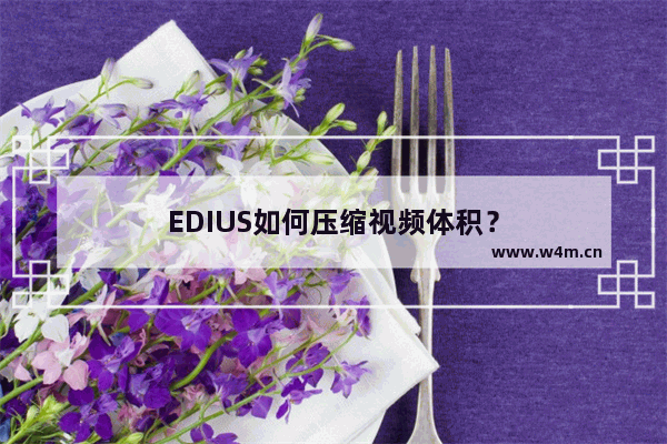 EDIUS如何压缩视频体积？