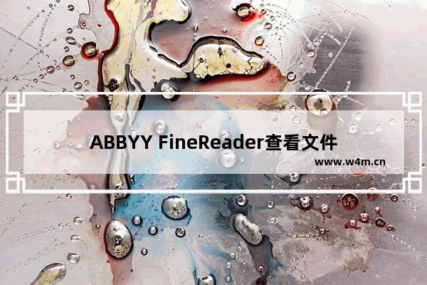 ABBYY FineReader查看文件的方法