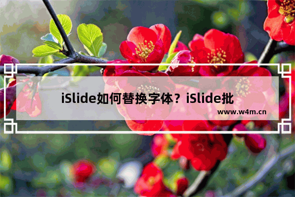 iSlide如何替换字体？iSlide批量替换字体的方法