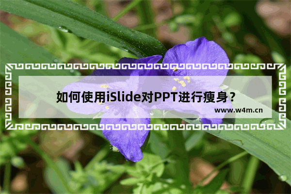 如何使用iSlide对PPT进行瘦身？