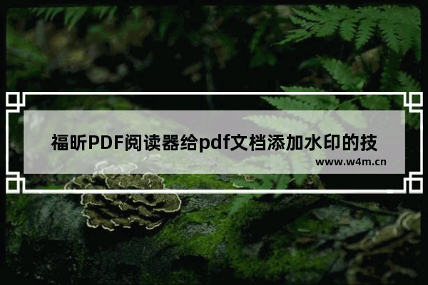 福昕PDF阅读器给pdf文档添加水印的技巧