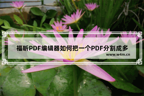 福昕PDF编辑器如何把一个PDF分割成多个PDF文档？