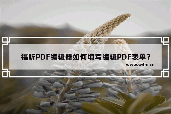 福昕PDF编辑器如何填写编辑PDF表单？