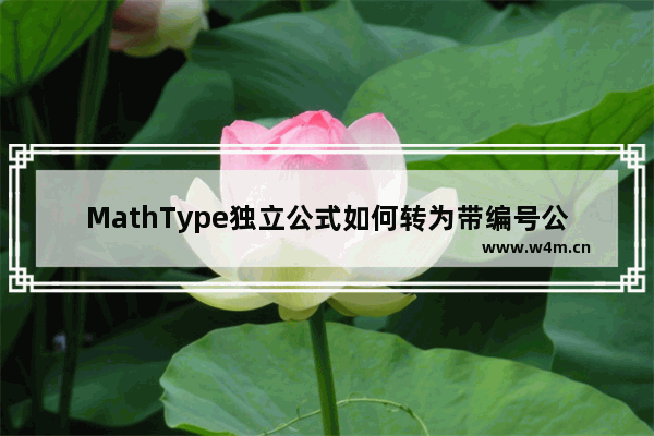 MathType独立公式如何转为带编号公式？