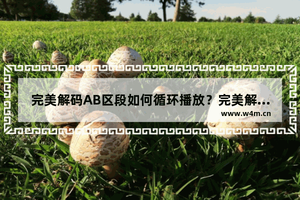 完美解码AB区段如何循环播放？完美解码AB区段循环播放的技巧