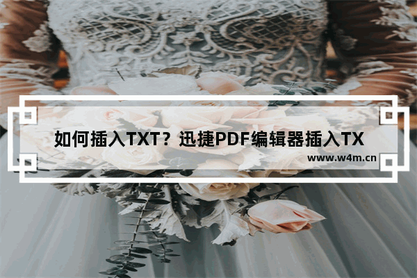 如何插入TXT？迅捷PDF编辑器插入TXT的方法