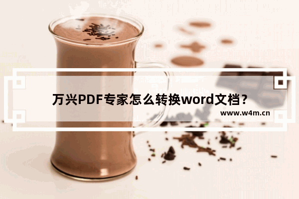 万兴PDF专家怎么转换word文档？