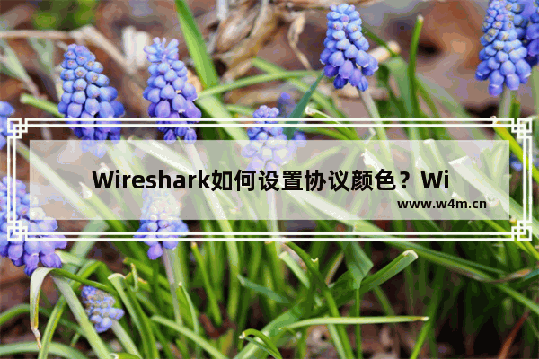 Wireshark如何设置协议颜色？Wireshark设置协议颜色的技巧