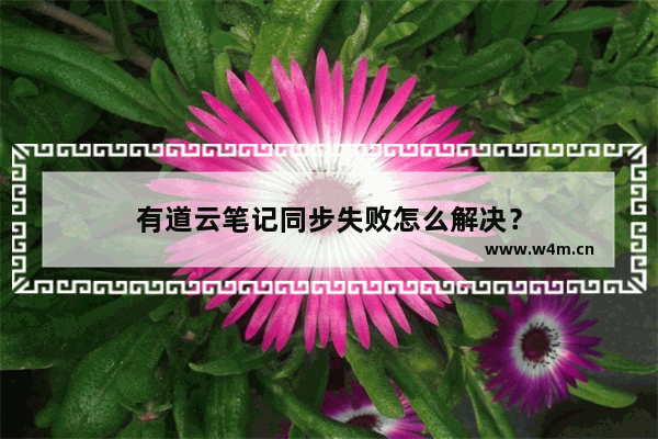 有道云笔记同步失败怎么解决？