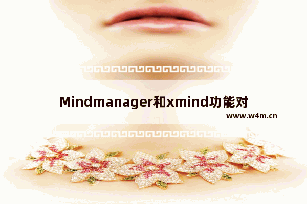 Mindmanager和xmind功能对比