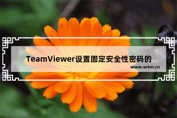 TeamViewer设置固定安全性密码的技巧