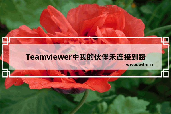 Teamviewer中我的伙伴未连接到路由器的解决方法