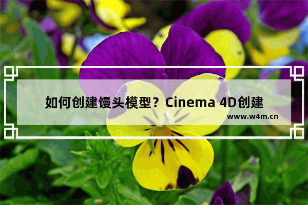 如何创建馒头模型？Cinema 4D创建馒头模型的方法