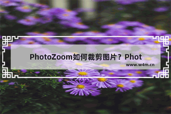 PhotoZoom如何裁剪图片？PhotoZoom裁剪图片的方法