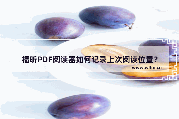 福昕PDF阅读器如何记录上次阅读位置？