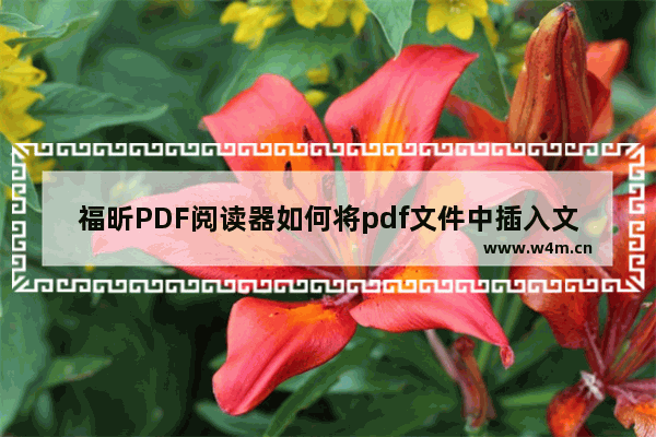 福昕PDF阅读器如何将pdf文件中插入文字？