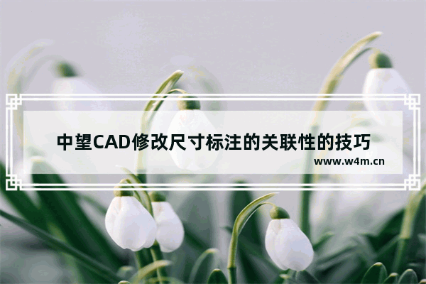 中望CAD修改尺寸标注的关联性的技巧