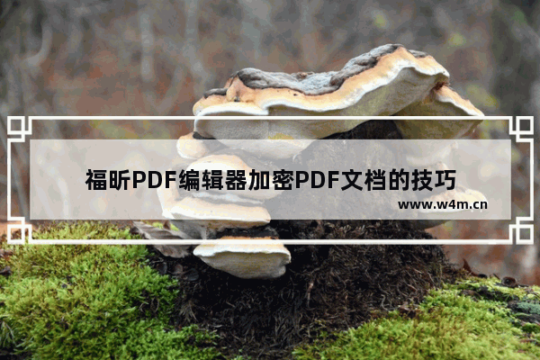 福昕PDF编辑器加密PDF文档的技巧