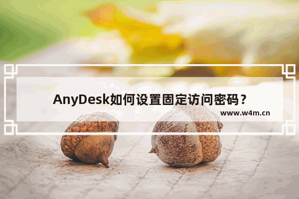 AnyDesk如何设置固定访问密码？