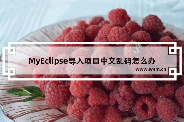 MyEclipse导入项目中文乱码怎么办？