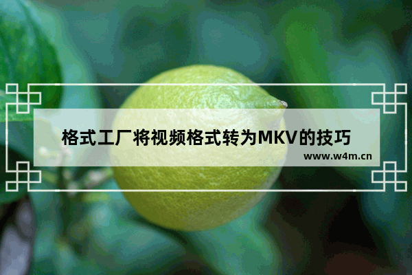 格式工厂将视频格式转为MKV的技巧