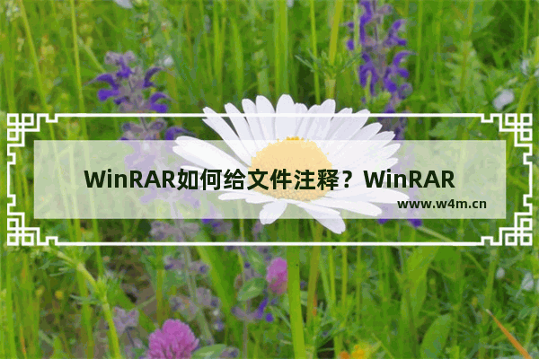 WinRAR如何给文件注释？WinRAR给文件注释的技巧