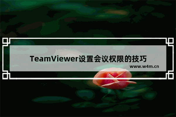 TeamViewer设置会议权限的技巧