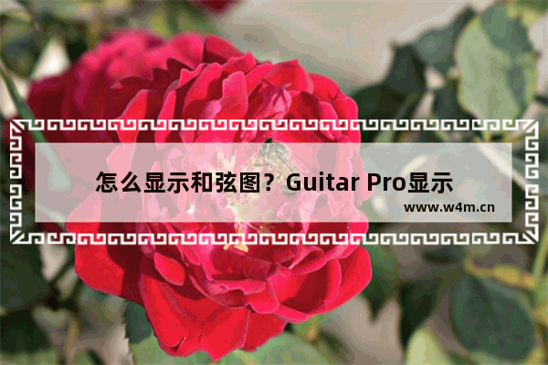 怎么显示和弦图？Guitar Pro显示和弦图的方法