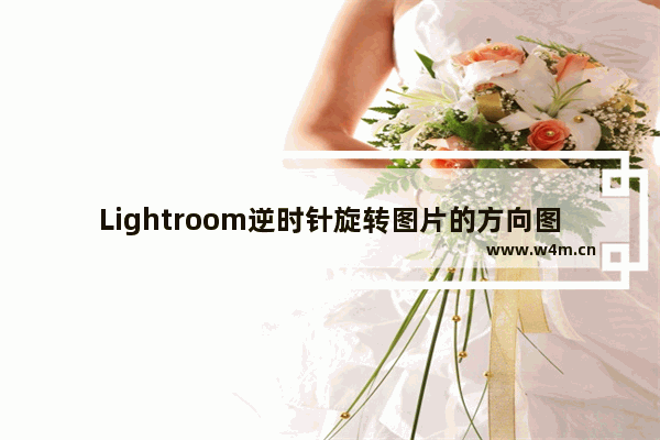 Lightroom逆时针旋转图片的方向图文教程