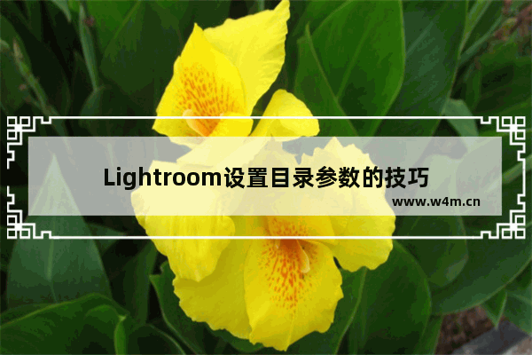 Lightroom设置目录参数的技巧