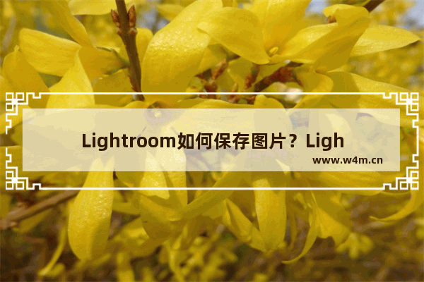 Lightroom如何保存图片？Lightroom保存图片的技巧