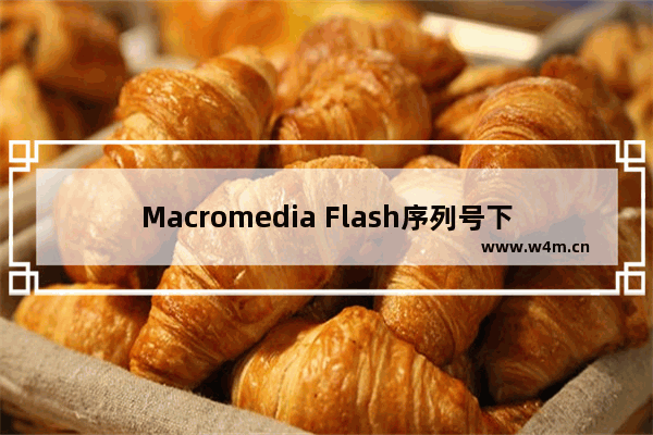 Macromedia Flash序列号下载 永久激活教程