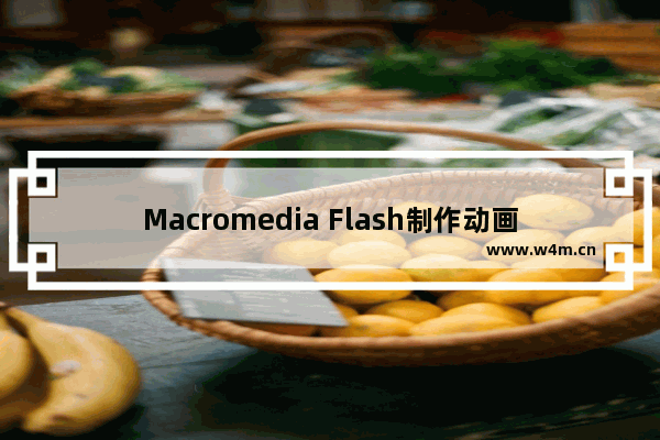 Macromedia Flash制作动画的方法