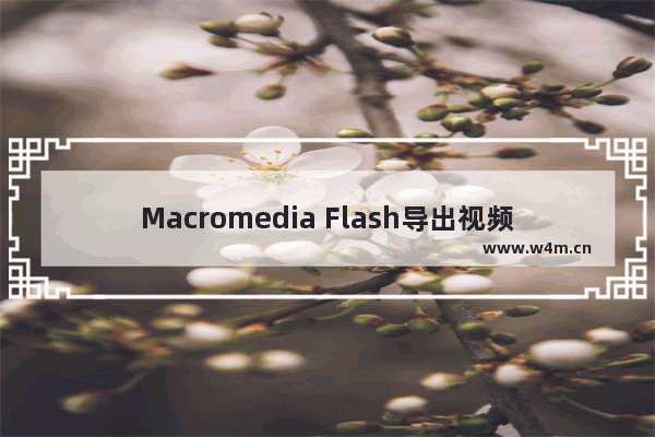 Macromedia Flash导出视频的方法