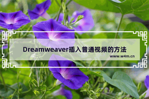 Dreamweaver插入普通视频的方法