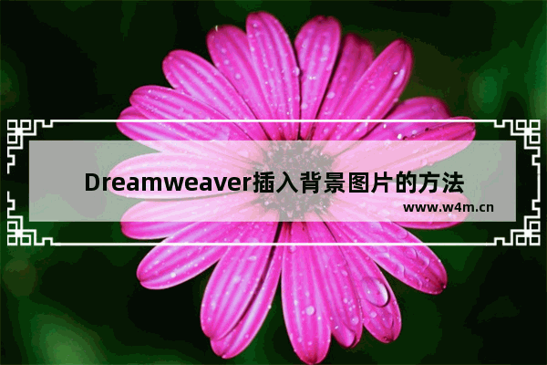 Dreamweaver插入背景图片的方法