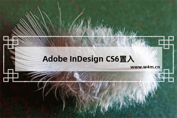 Adobe InDesign CS6置入文档的技巧