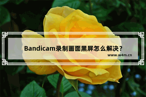 Bandicam录制画面黑屏怎么解决？