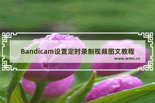 Bandicam设置定时录制视频图文教程