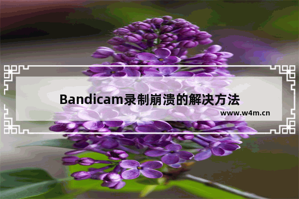 Bandicam录制崩溃的解决方法