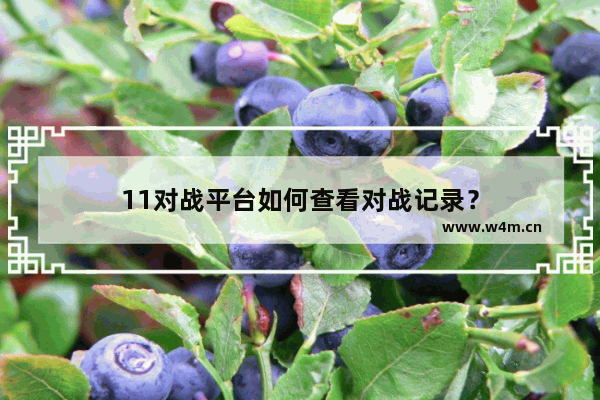 11对战平台如何查看对战记录？