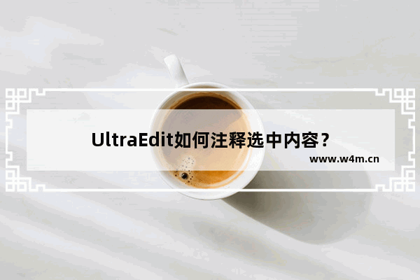 UltraEdit如何注释选中内容？