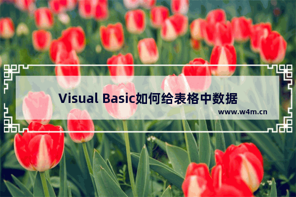 Visual Basic如何给表格中数据添加批注？