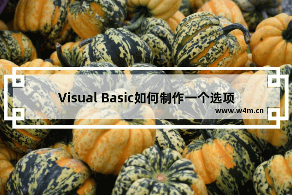 Visual Basic如何制作一个选项卡式的视窗窗口？