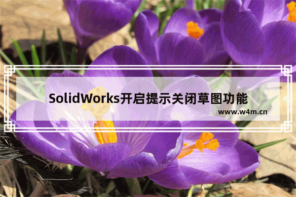 SolidWorks开启提示关闭草图功能的技巧