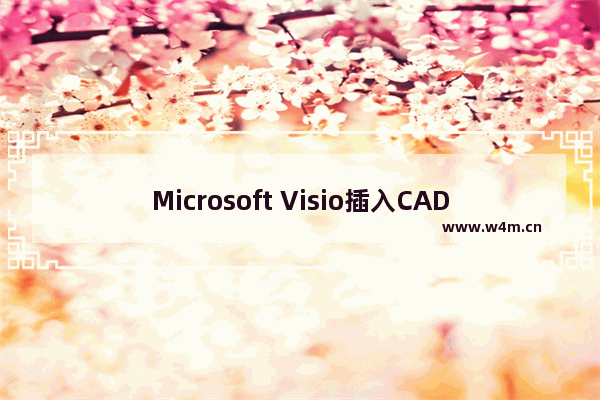 Microsoft Visio插入CAD绘图的技巧